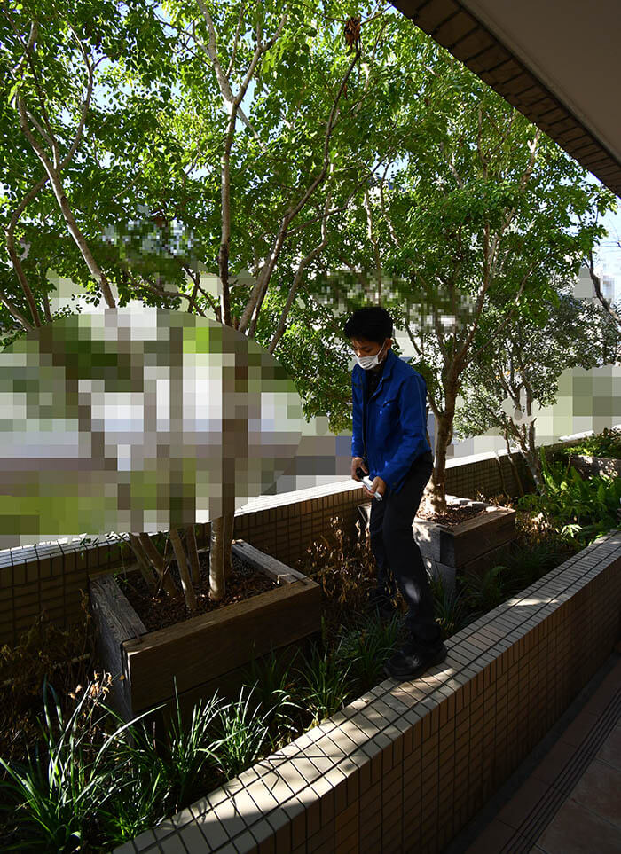 世田谷区A邸_ミノッティのソファ選び